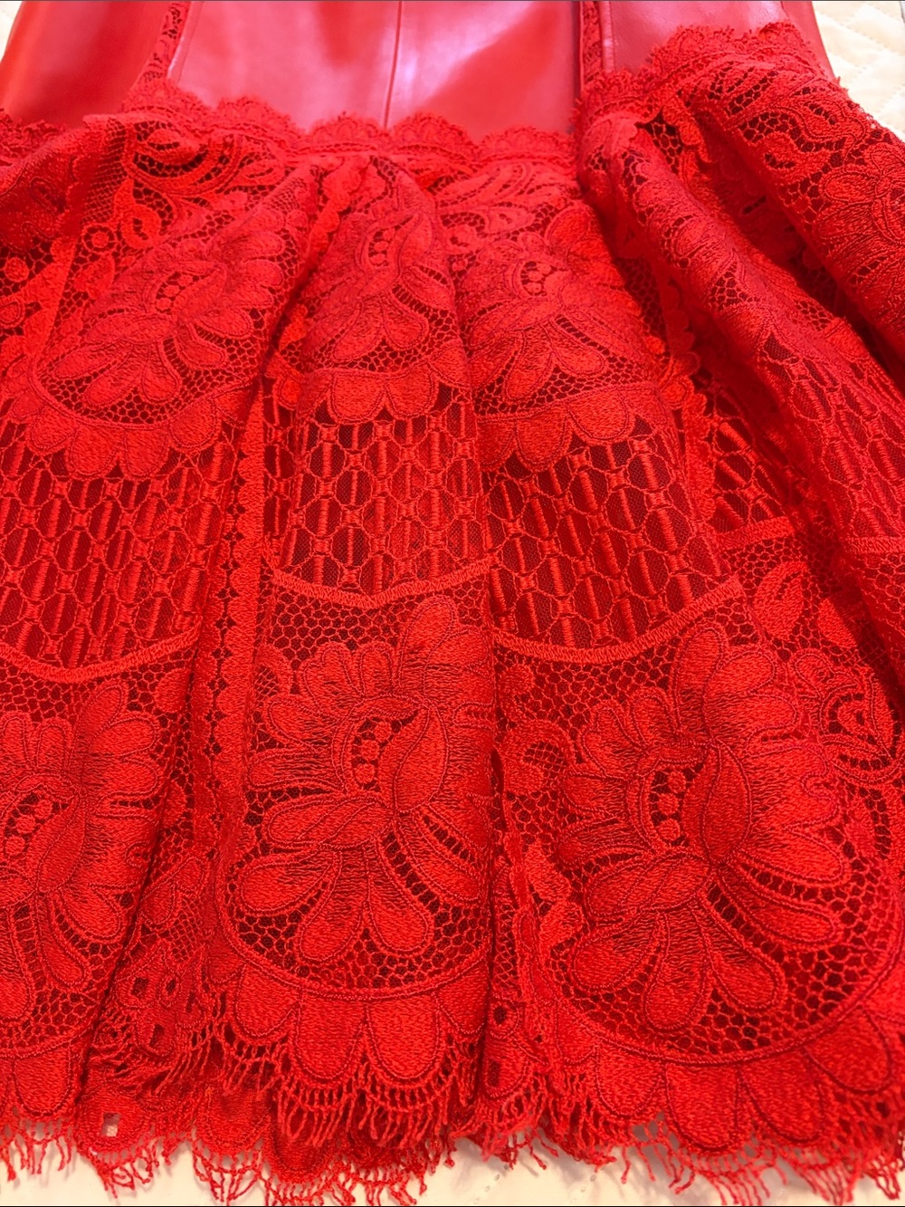 Alexander McQueen Lust Red Lace-Hem Leather Midi Dress - Picture 8 of 16